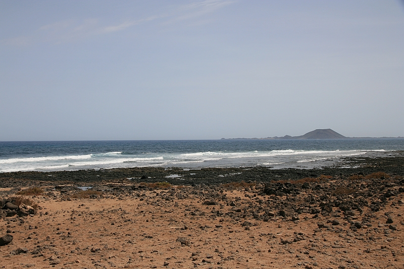 Kanary_2010 104